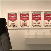 Clases online de refuerzo escolar